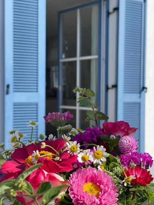 Reetdachhaus Seasons Mit Kamin & Sauna Gross Schwansee Luaran gambar
