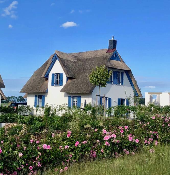 Reetdachhaus Seasons Mit Kamin & Sauna Gross Schwansee Luaran gambar